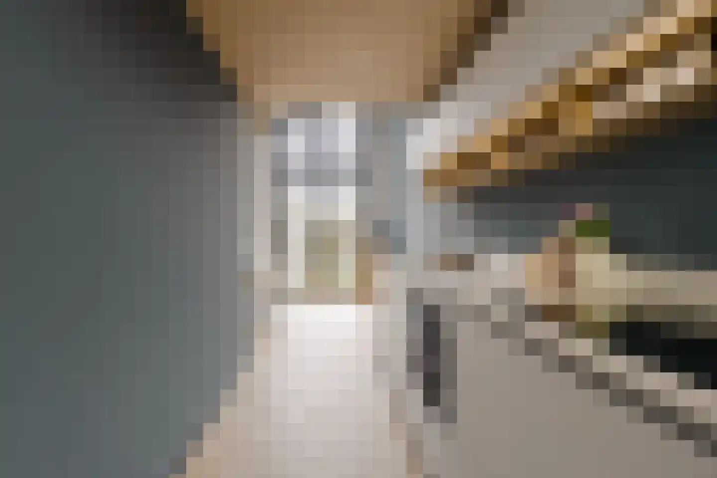 Ko van Dijkhof 39 Amsterdam thumbnail 17