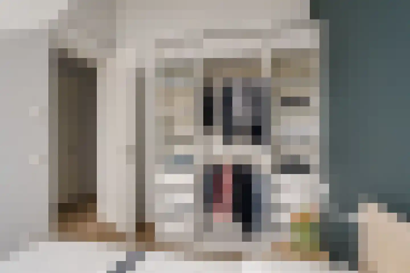 Ko van Dijkhof 39 Amsterdam thumbnail 27