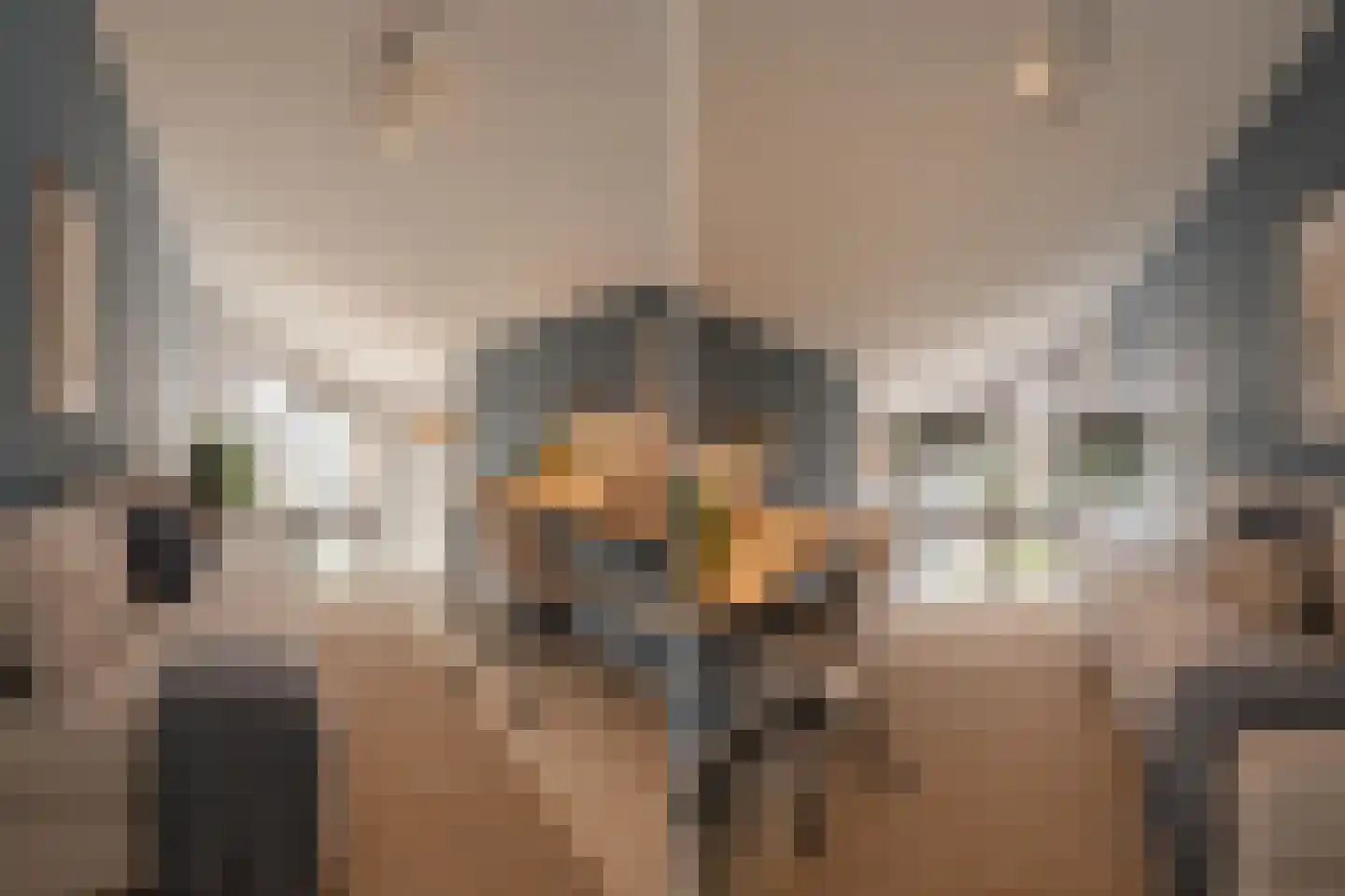 Ko van Dijkhof 39 Amsterdam thumbnail 36