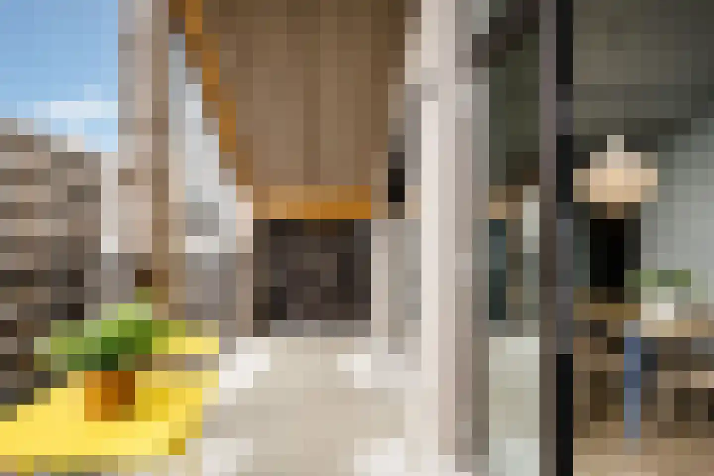 Ko van Dijkhof 39 Amsterdam thumbnail 5