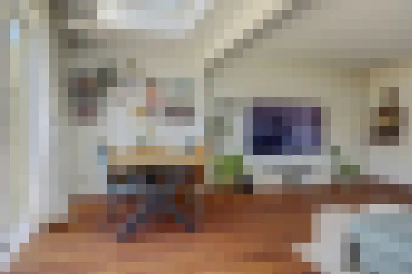 Ko van Dijklaan 33 Amstelveen thumbnail 11