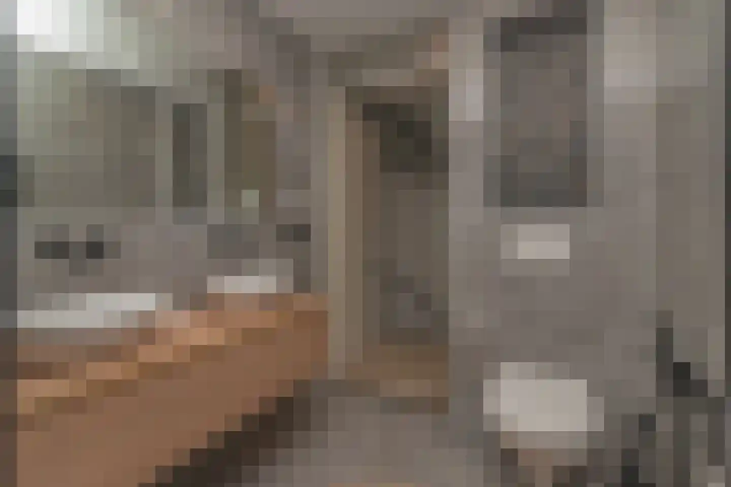 Ko van Dijkplein 16 Den Haag thumbnail 18