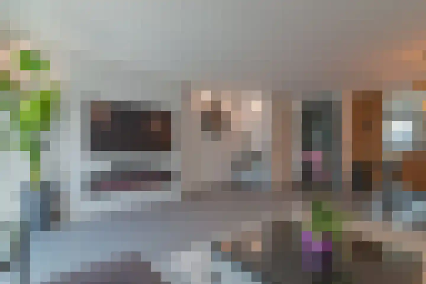 Ko van Dijkplein 16 Den Haag thumbnail 5