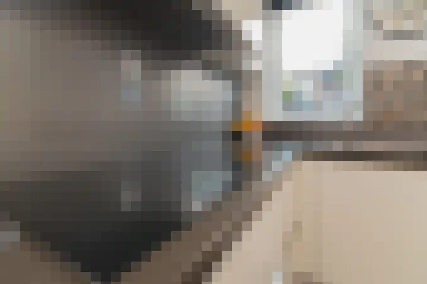 Ko van Dijkplein 16 Den Haag thumbnail 8