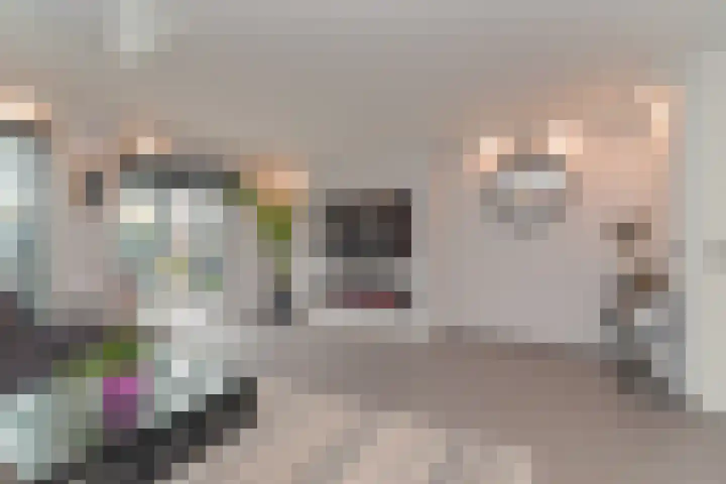 Ko van Dijkplein 16 Den Haag thumbnail 9
