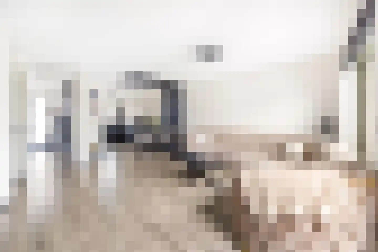 Ko van Dijkplein 17 Den Haag thumbnail 10