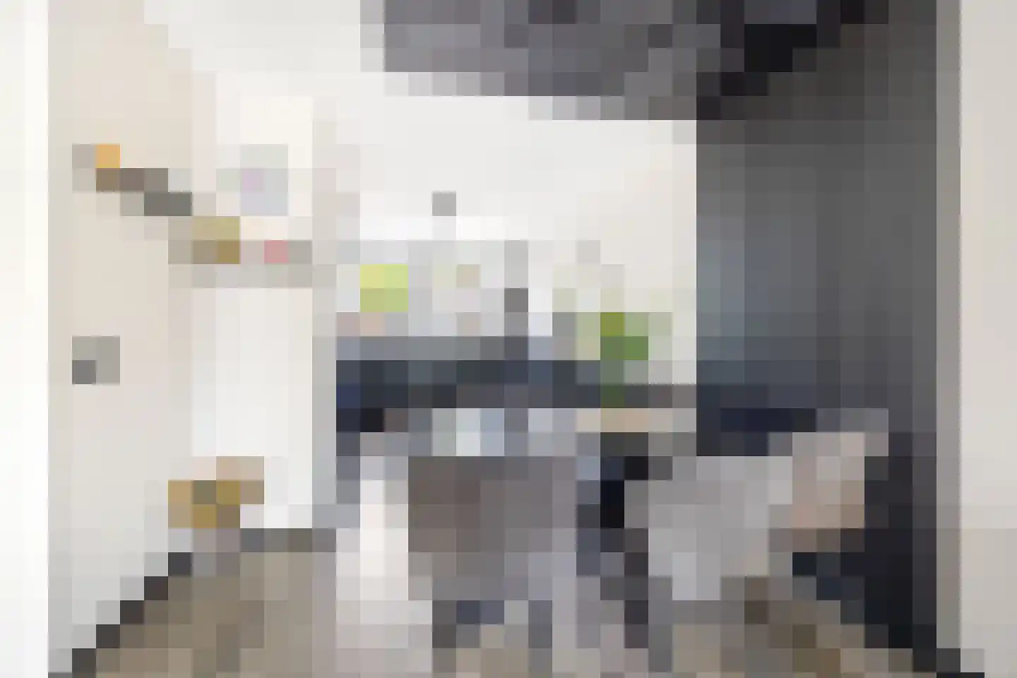Ko van Dijkplein 17 Den Haag thumbnail 11