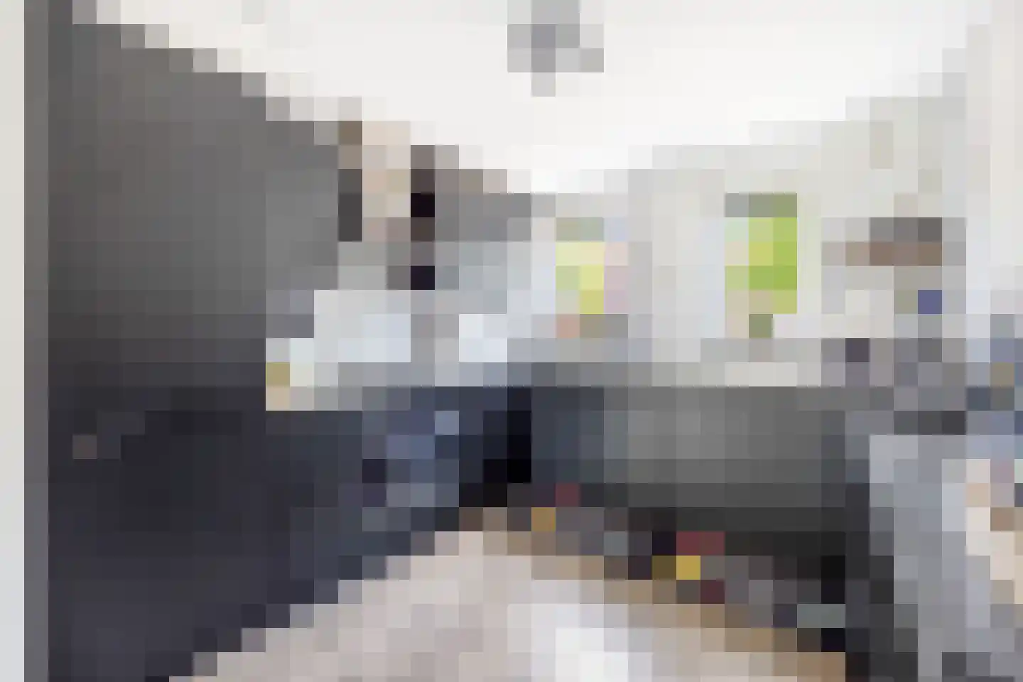 Ko van Dijkplein 17 Den Haag thumbnail 12