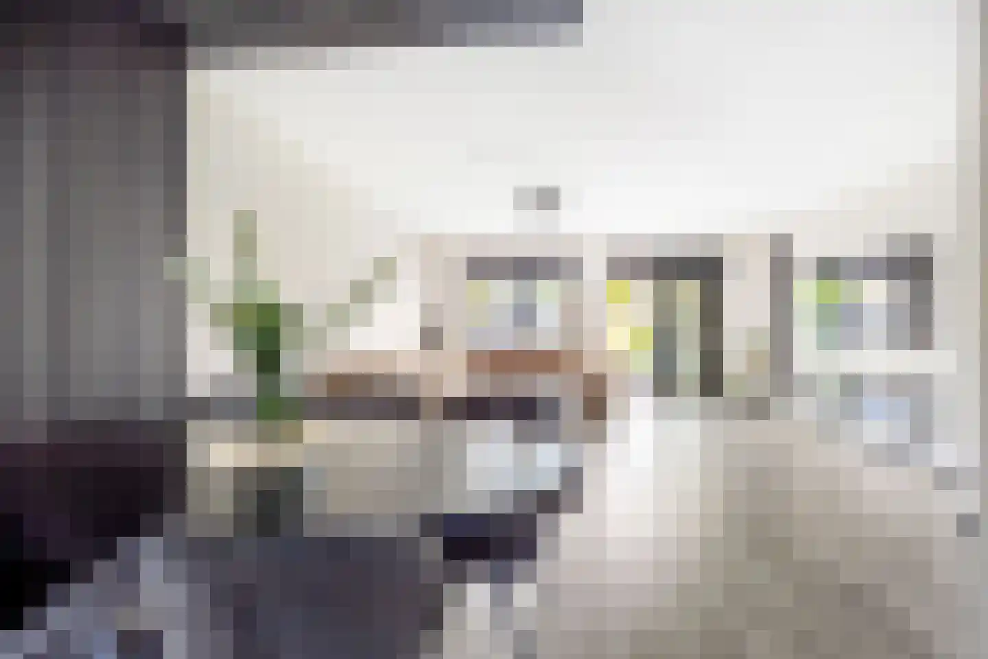 Ko van Dijkplein 17 Den Haag thumbnail 15