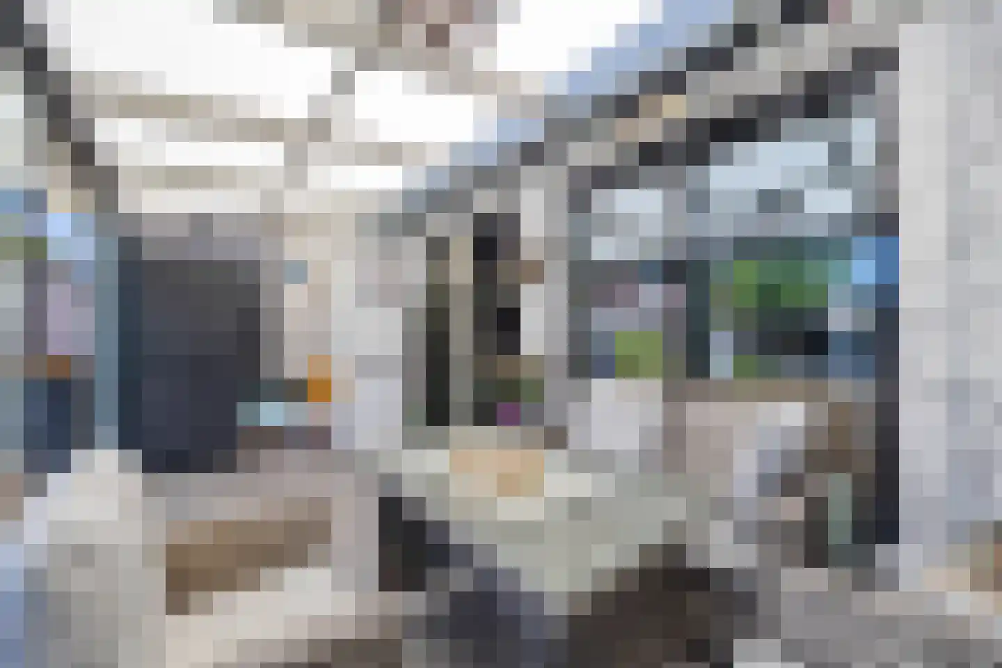 Ko van Dijkplein 17 Den Haag thumbnail 17
