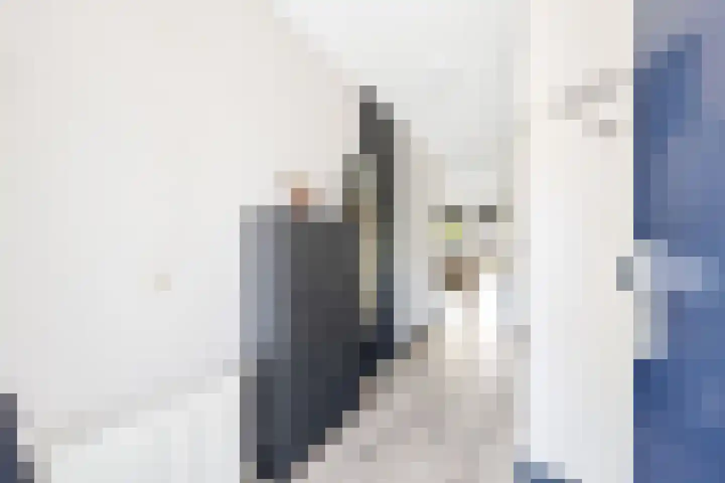 Ko van Dijkplein 17 Den Haag thumbnail 4