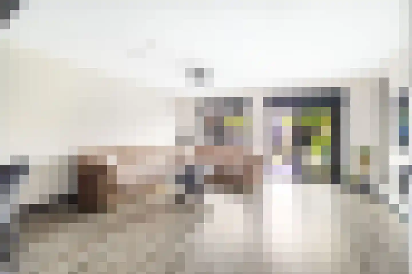 Ko van Dijkplein 17 Den Haag thumbnail 7