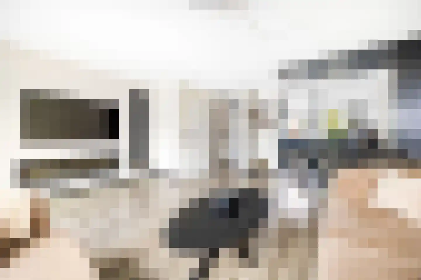 Ko van Dijkplein 17 Den Haag thumbnail 9