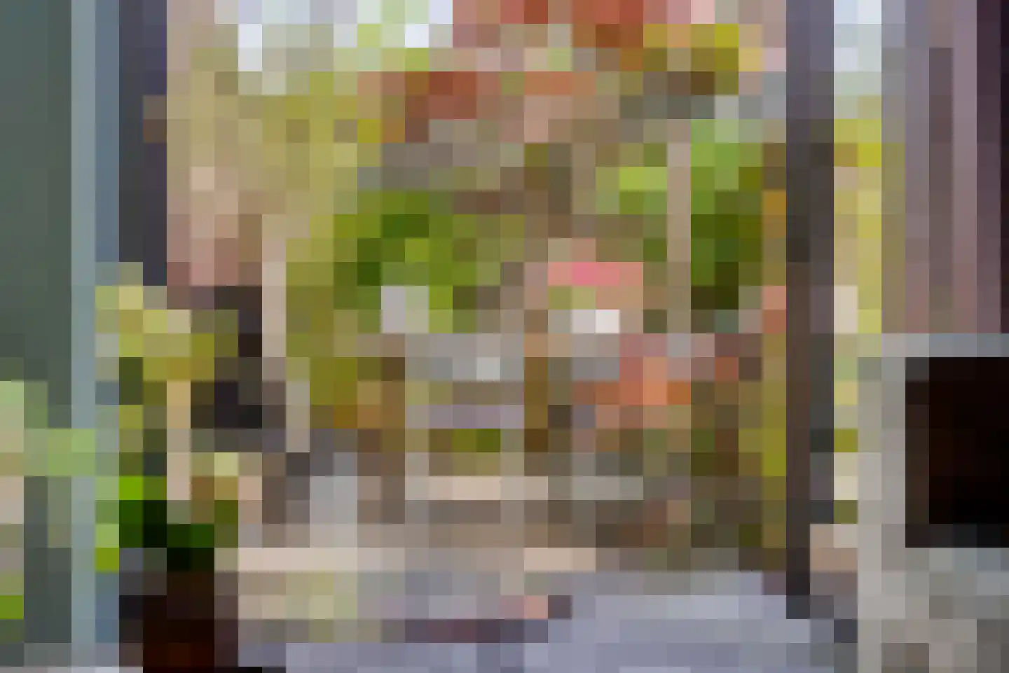 Ko van Dijkplein 36 Den Haag thumbnail 17