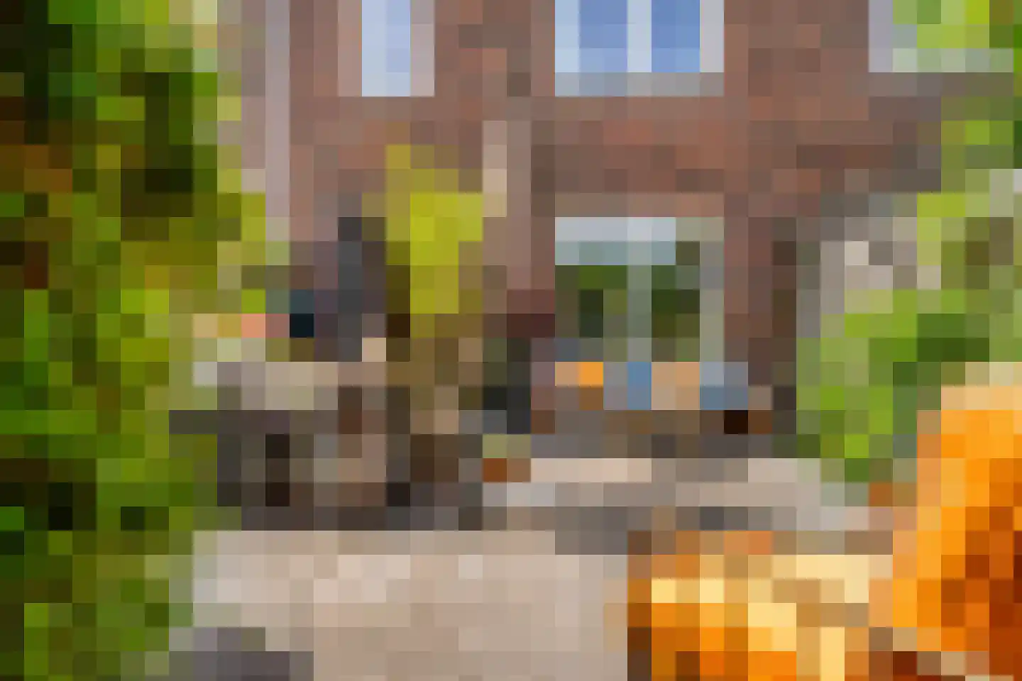 Ko van Dijkplein 36 Den Haag thumbnail 19