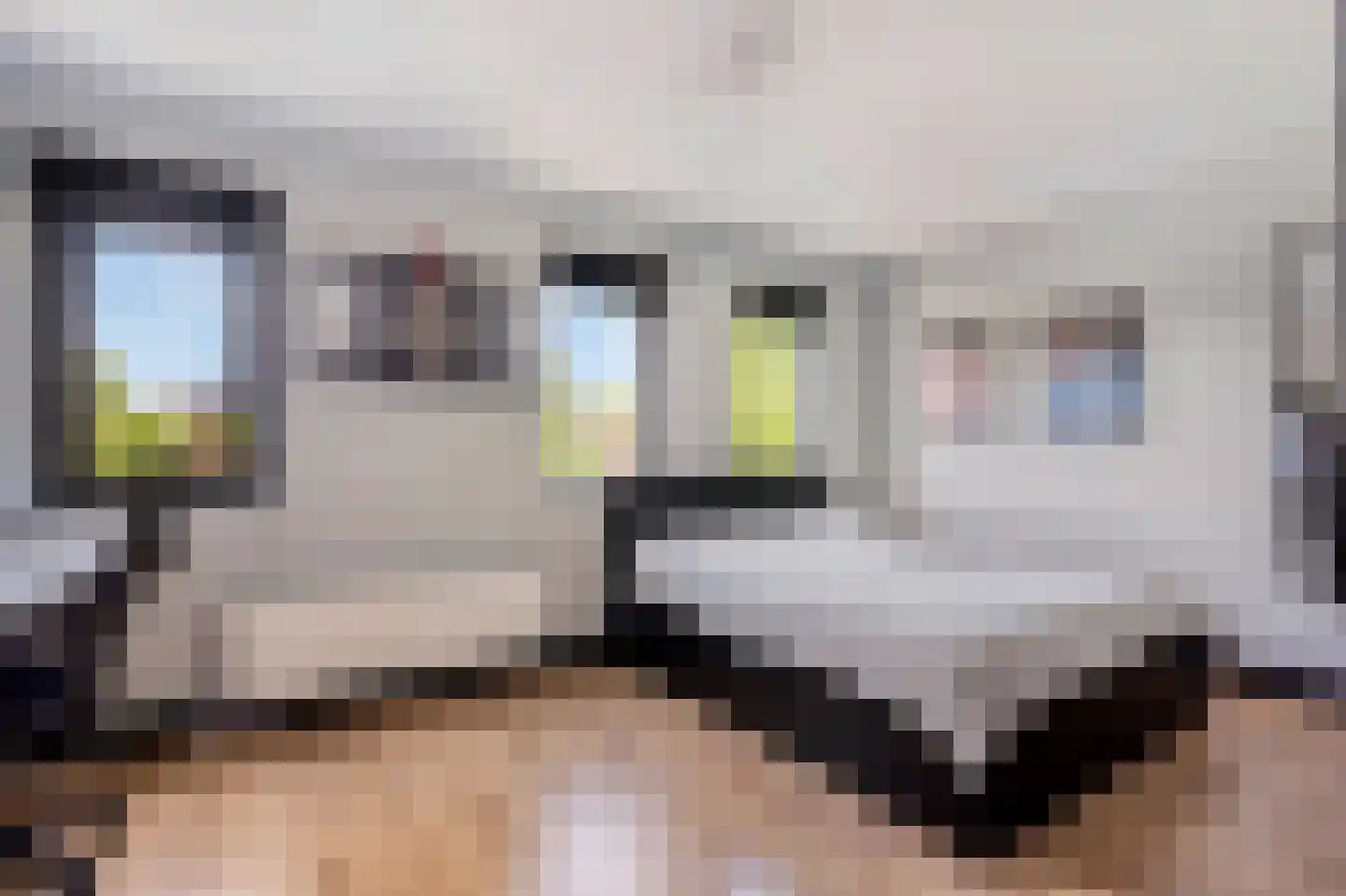 Ko van Dijkplein 36 Den Haag thumbnail 23