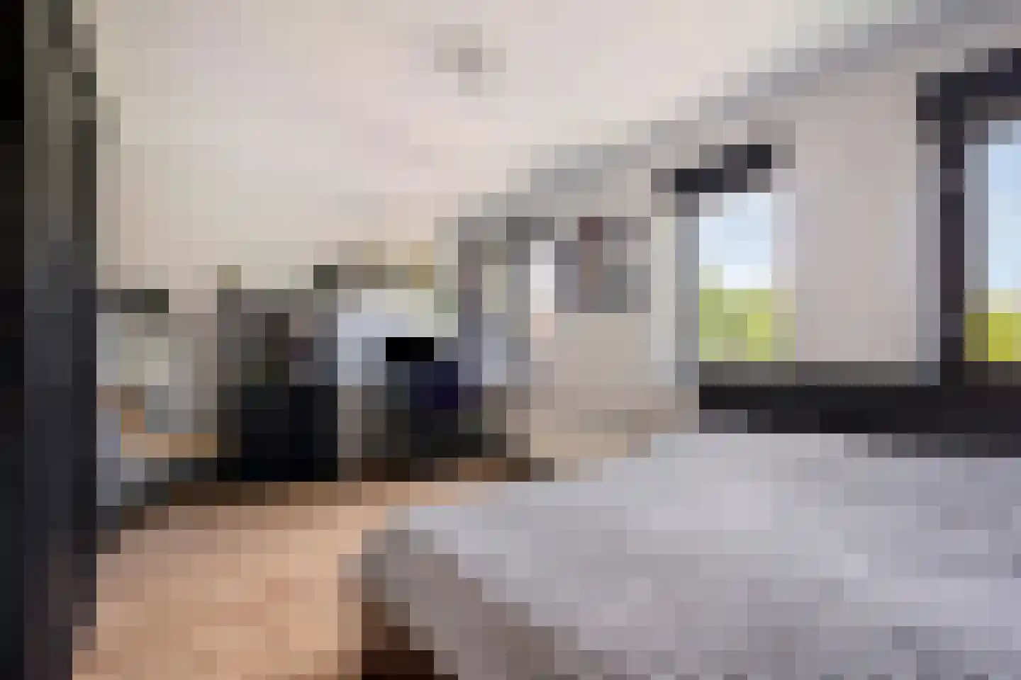 Ko van Dijkplein 36 Den Haag thumbnail 24