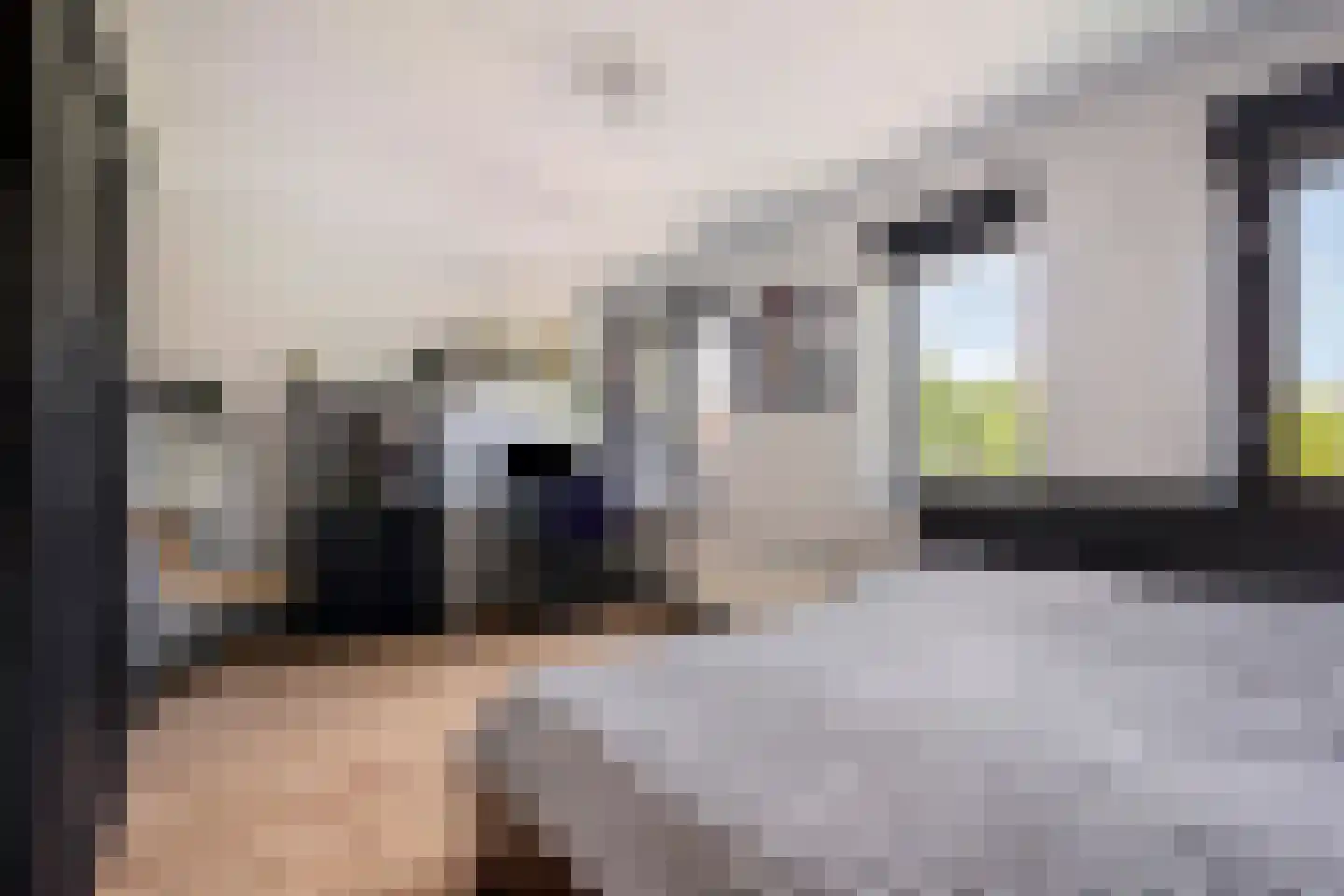 Ko van Dijkplein 36 Den Haag thumbnail 24