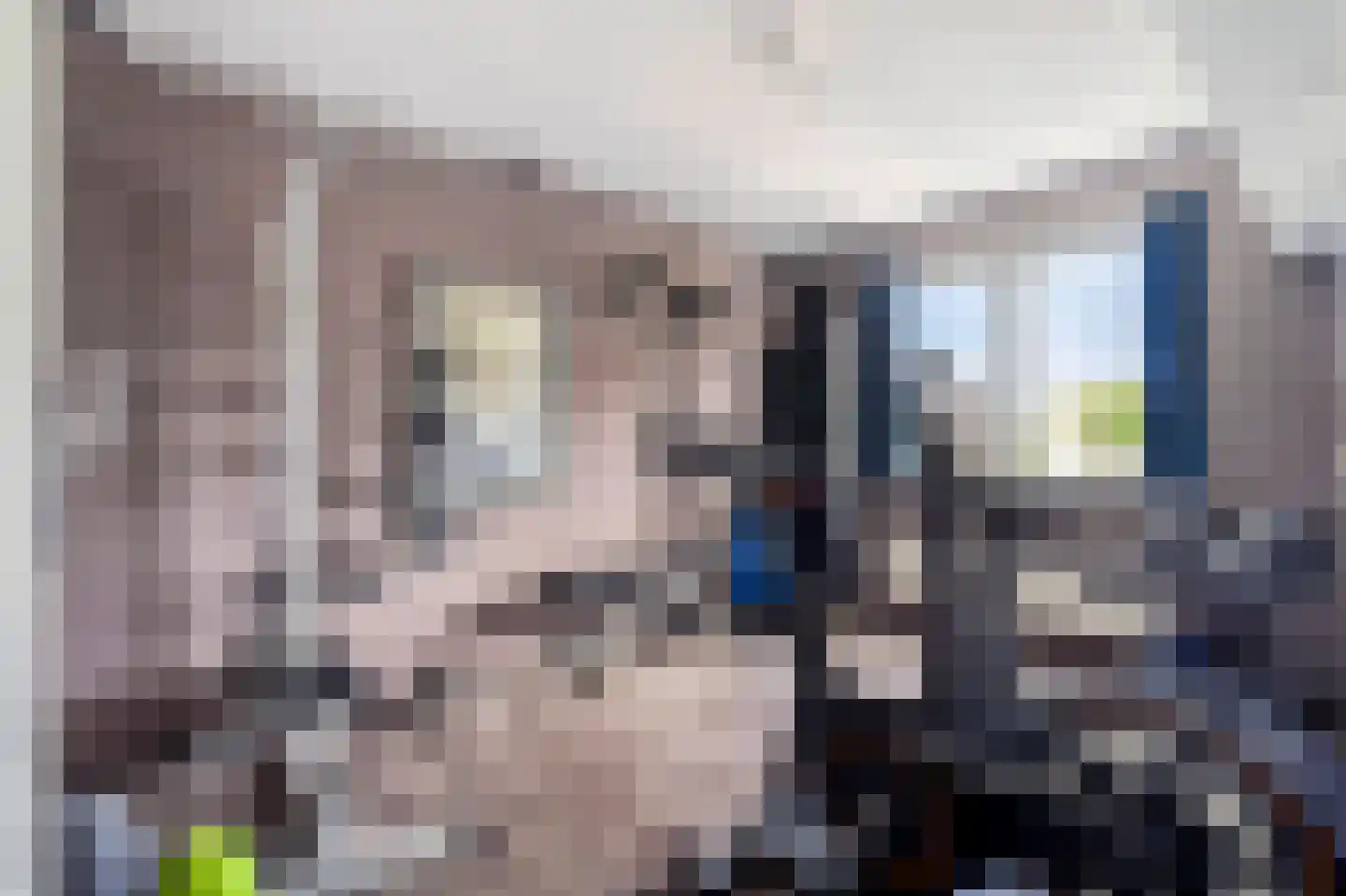 Ko van Dijkplein 36 Den Haag thumbnail 29