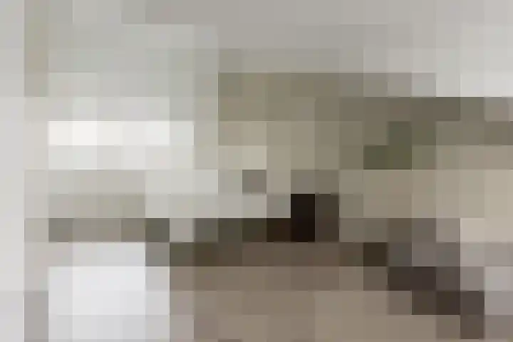 Ko van Dijkstraat 15 Haarlem thumbnail 22