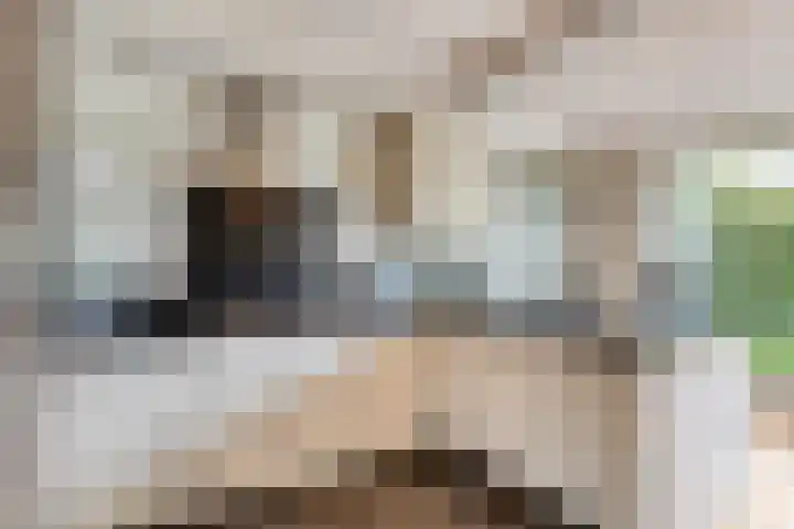 Ko van Dijkstraat 8 Rosmalen thumbnail 11