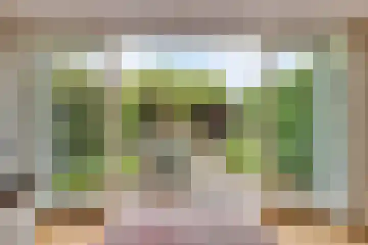 Ko van Dijkstraat 8 Rosmalen thumbnail 12