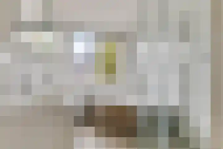 Ko van Dijkstraat 8 Rosmalen thumbnail 19