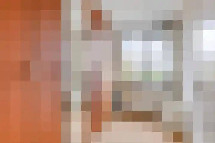 Ko van Dijkstraat 8 Rosmalen thumbnail 23