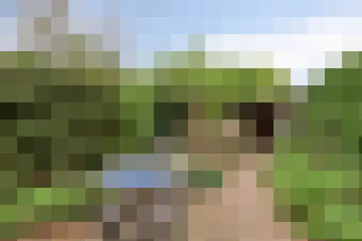 Ko van Dijkstraat 8 Rosmalen thumbnail 30