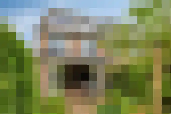 Ko van Dijkstraat 8 Rosmalen thumbnail 31