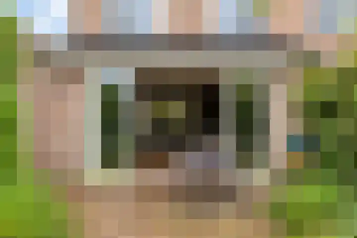 Ko van Dijkstraat 8 Rosmalen thumbnail 32