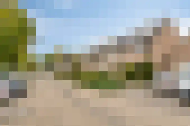 Ko van Dijkstraat 8 Rosmalen thumbnail 34