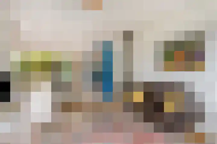 Ko van Dijkstraat 8 Rosmalen thumbnail 4