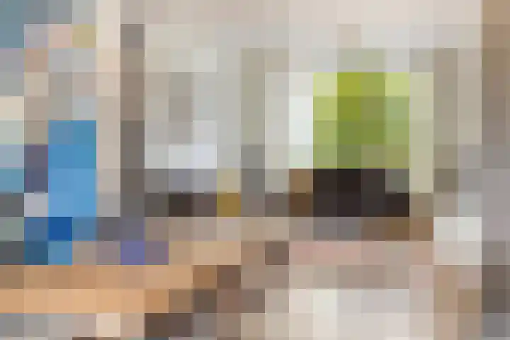 Ko van Dijkstraat 8 Rosmalen thumbnail 5
