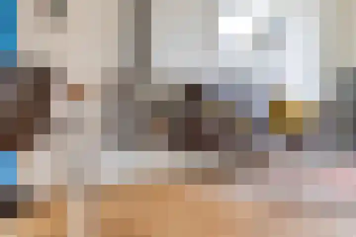 Ko van Dijkstraat 8 Rosmalen thumbnail 6