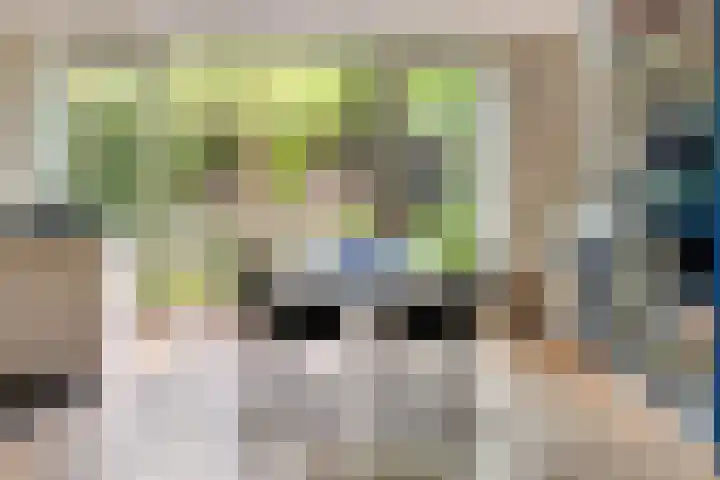 Ko van Dijkstraat 8 Rosmalen thumbnail 7