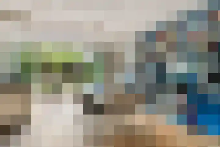 Ko van Dijkstraat 8 Rosmalen thumbnail 8