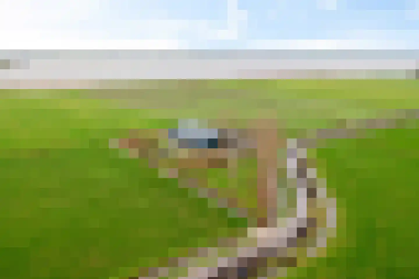 Koaidyk 13 It Heidenskip thumbnail 57