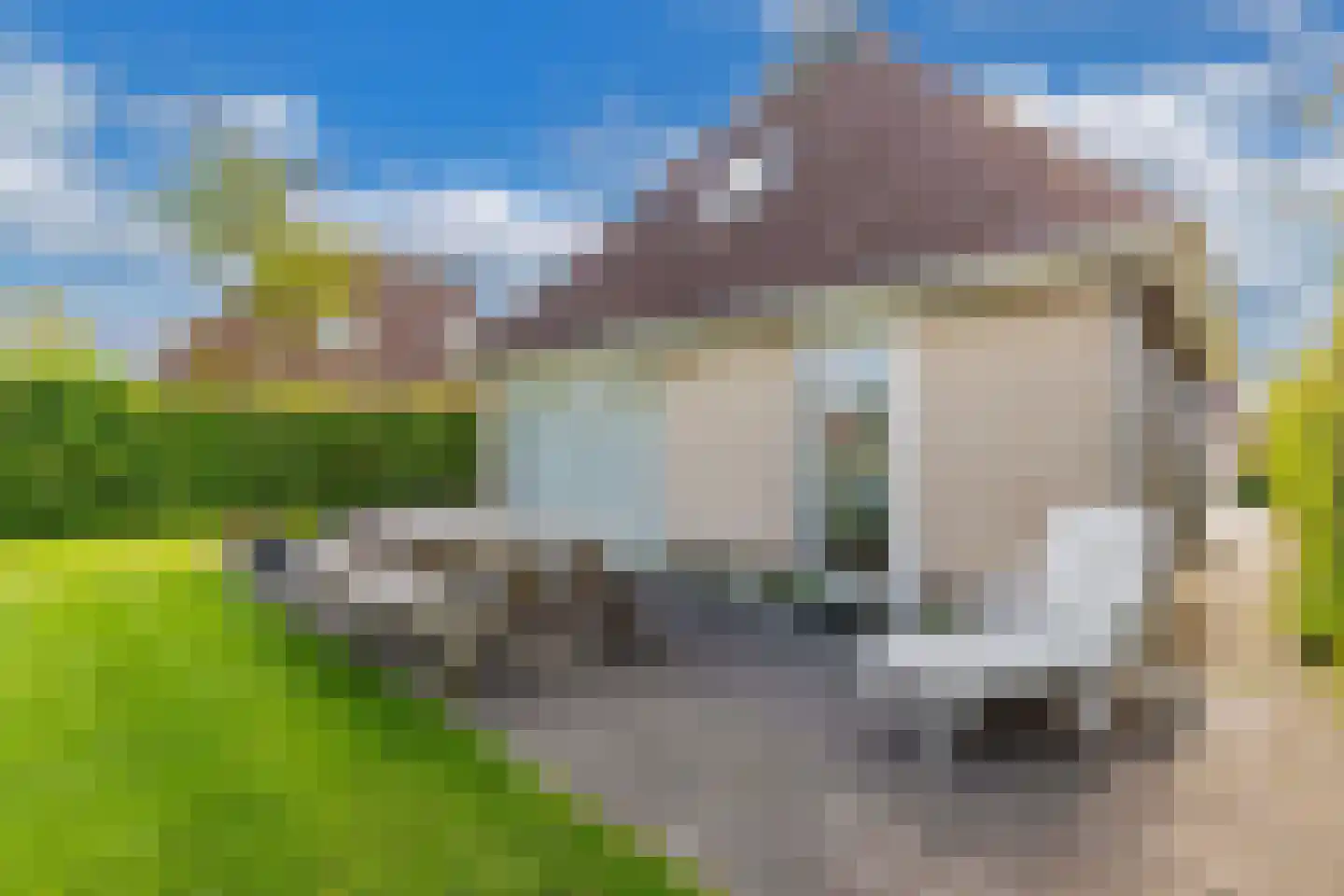 Koaidyk 6 113 Earnewâld thumbnail 51