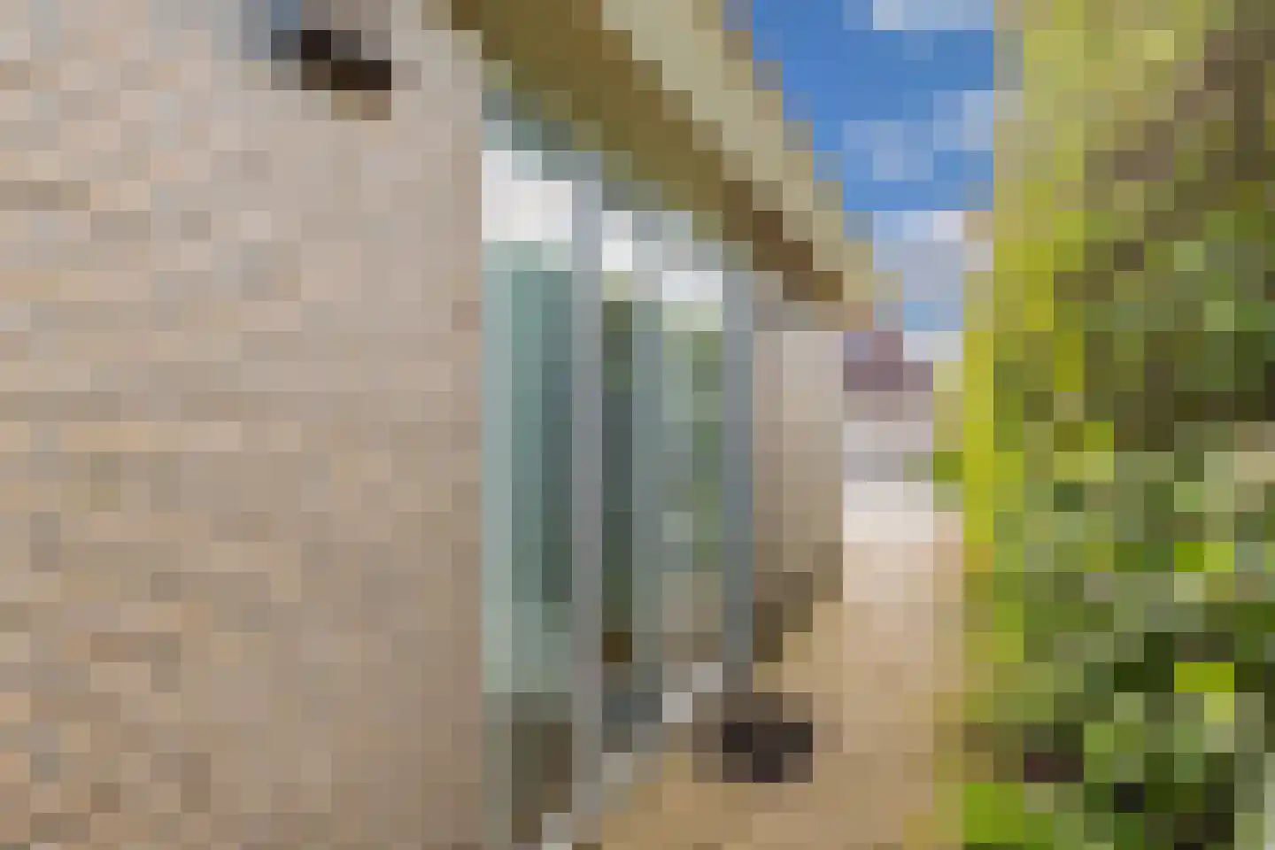 Koaidyk 6 113 Earnewâld thumbnail 52