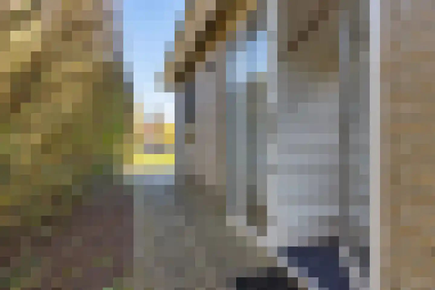Koaidyk 6 113 Earnewâld thumbnail 6