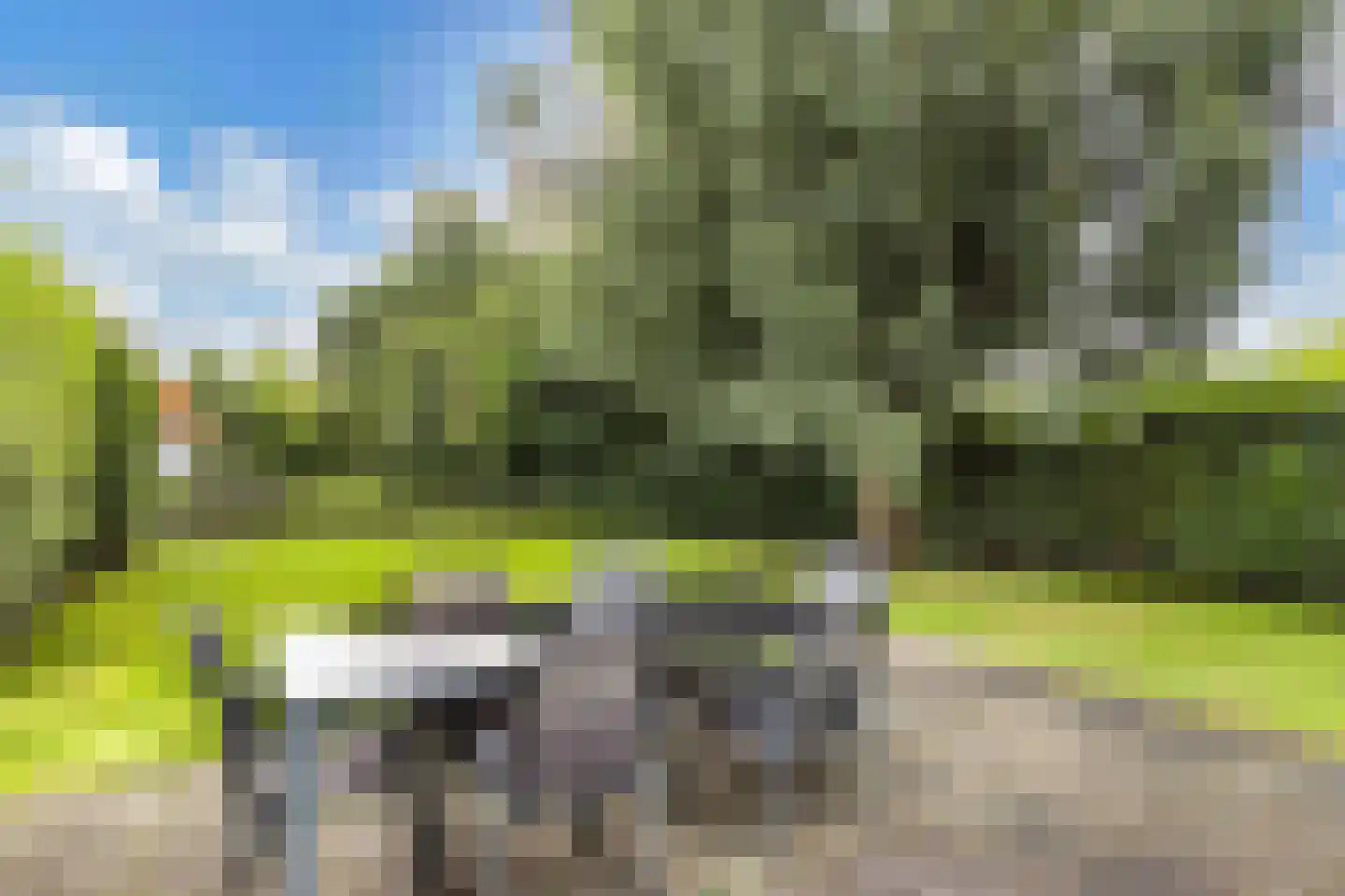 Koaidyk 6 117 Earnewâld thumbnail 31