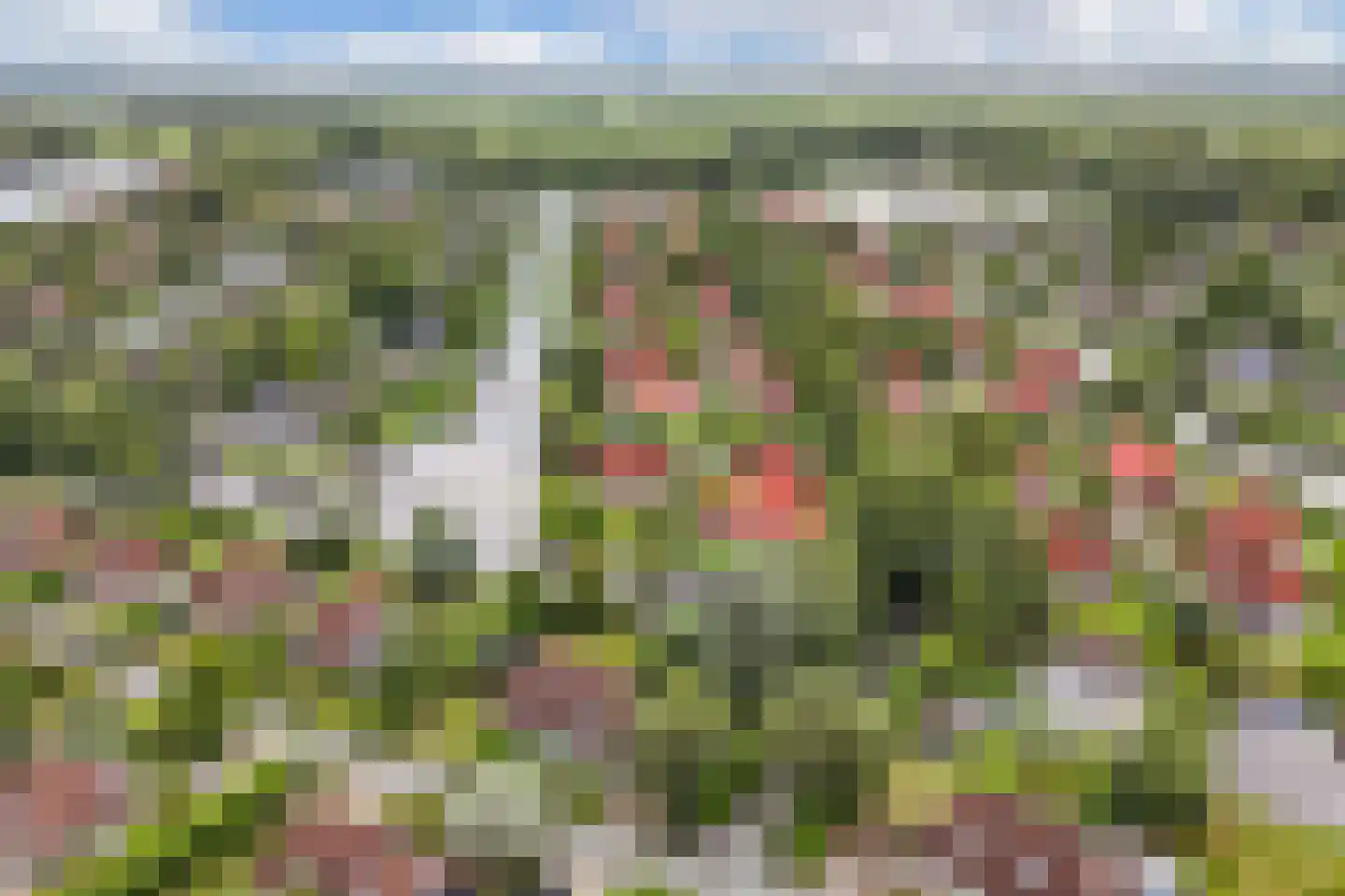 Koaidyk 6 117 Earnewâld thumbnail 6