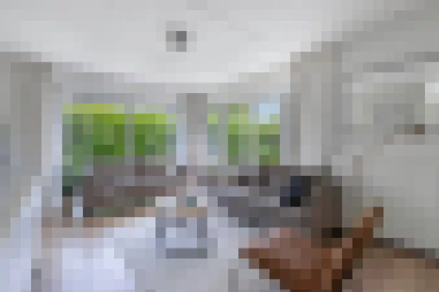 Koaidyk 6 122 Earnewâld thumbnail 10