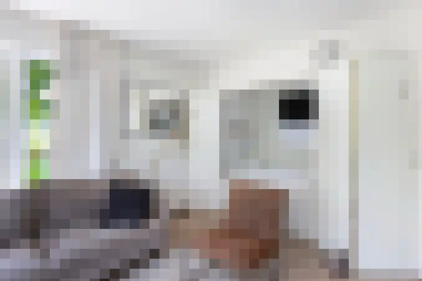Koaidyk 6 122 Earnewâld thumbnail 14