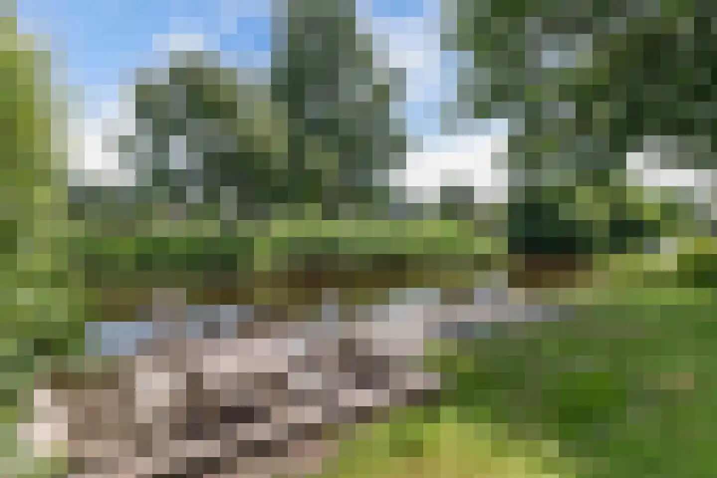 Koaidyk 6 122 Earnewâld thumbnail 29