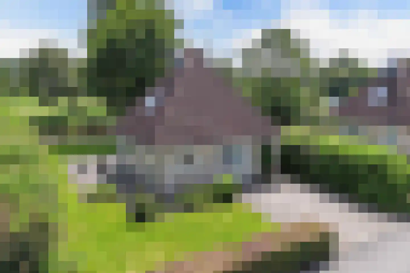 Koaidyk 6 122 Earnewâld thumbnail 7