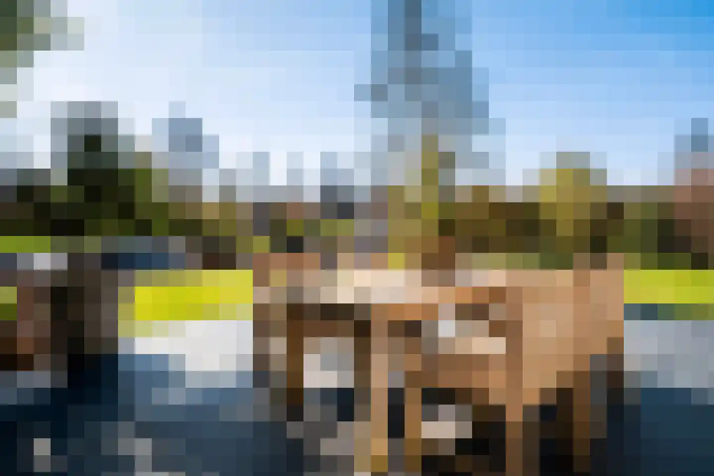 Koaidyk 6 265 Earnewâld thumbnail 31