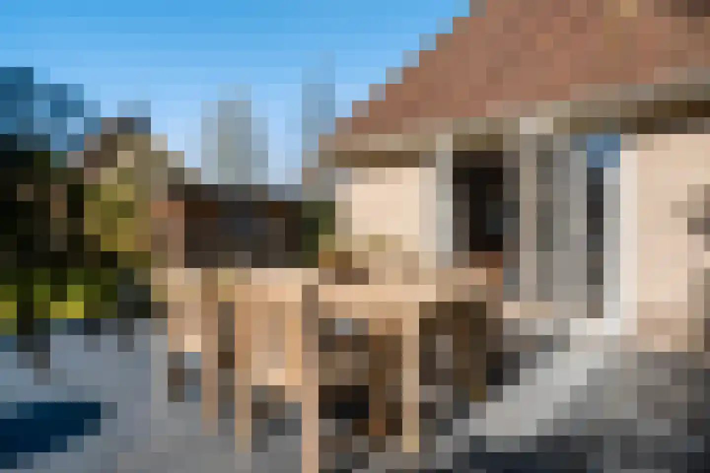 Koaidyk 6 265 Earnewâld thumbnail 32