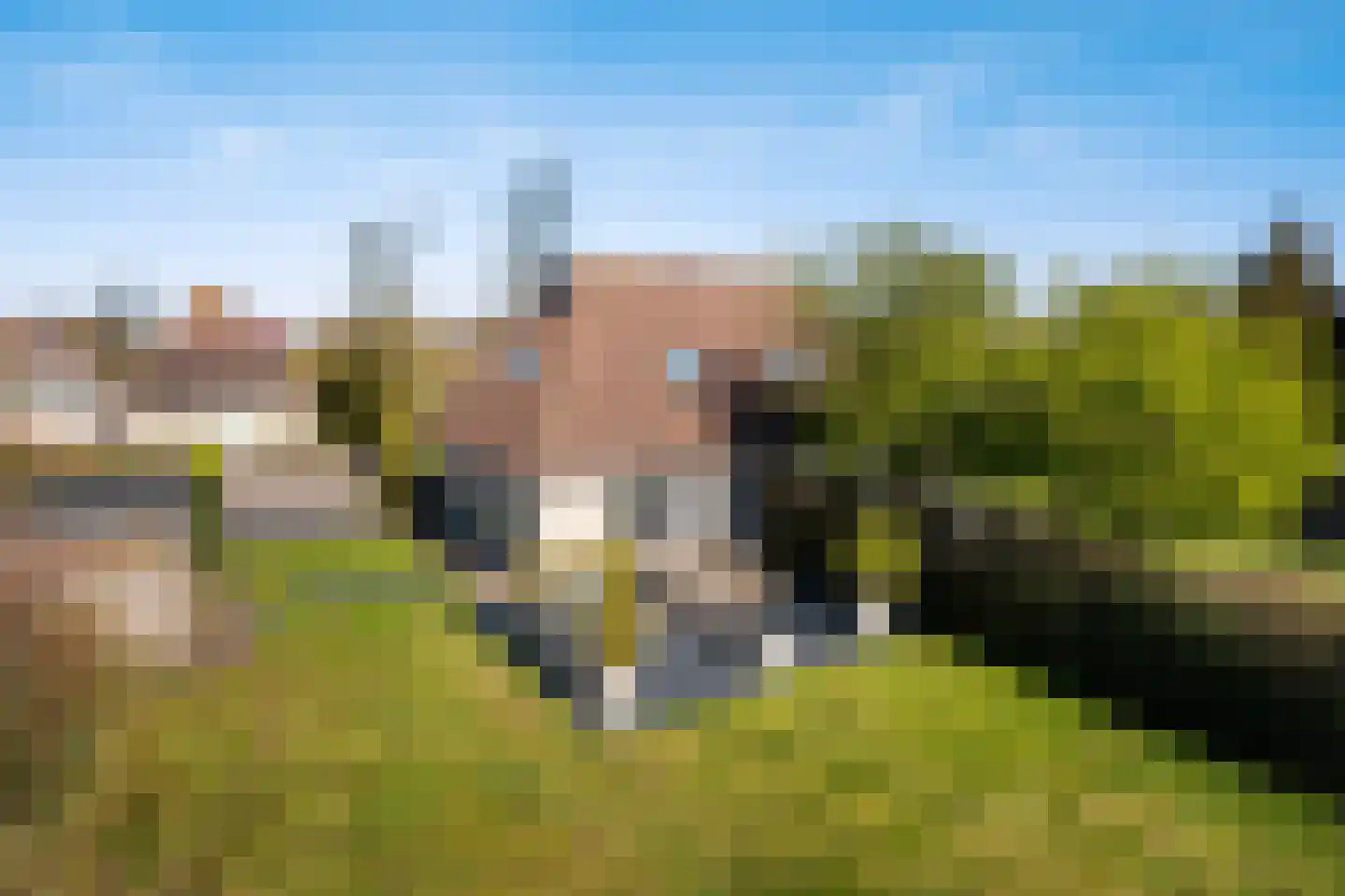 Koaidyk 6 265 Earnewâld thumbnail 40
